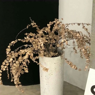 兽设冰川场景绘制兽圈社群